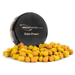 Przynęta Esca Feeder Wafters Corn Power 10mm 50ml